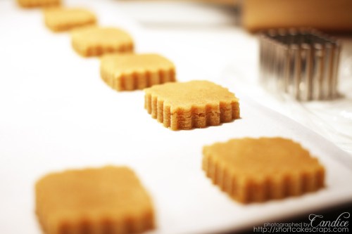 8463008769_1147a9e7db_o