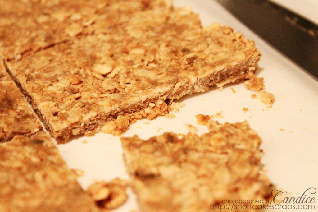 oatmealbars_b